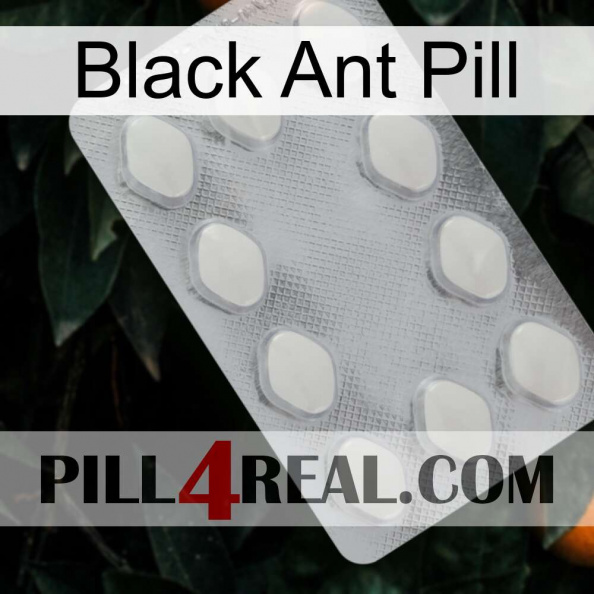 Black Ant Pill 16.jpg